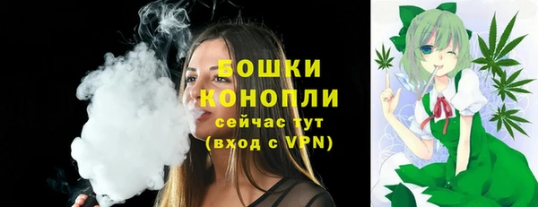 метадон Пестово