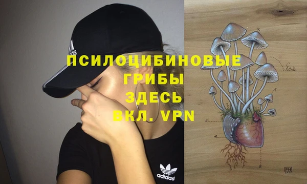 метамфетамин Абаза