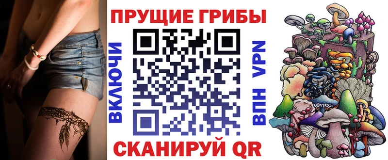 что такое   Старая Русса  Галлюциногенные грибы мицелий 