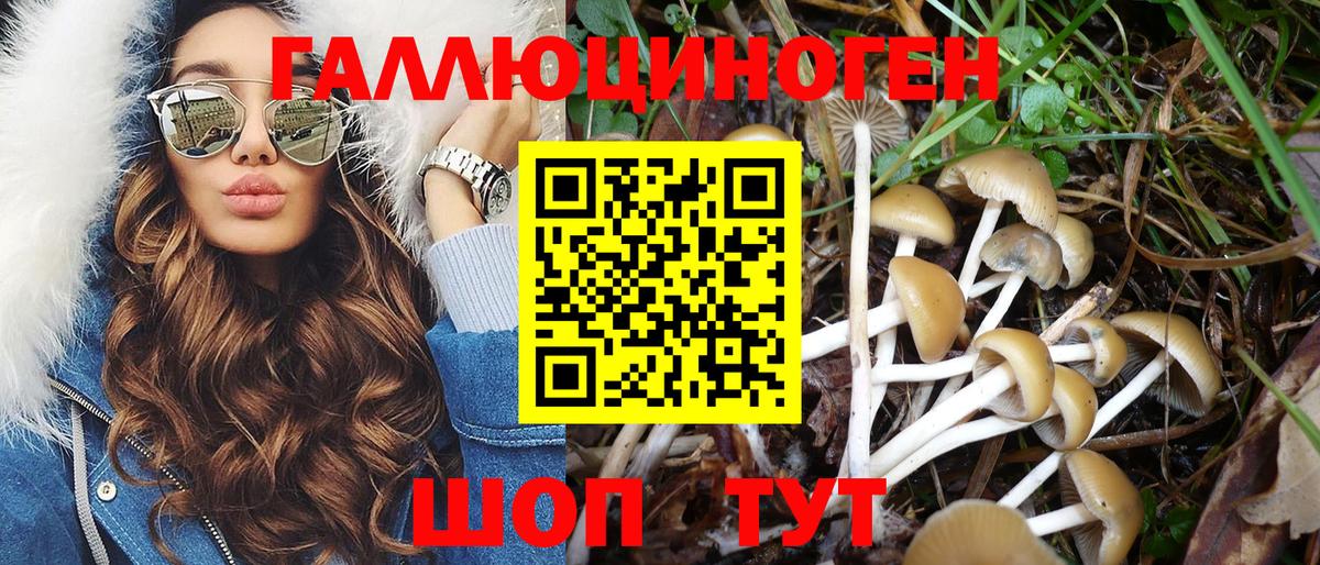 Старая Русса  Галлюциногенные грибы мицелий  Вход с VPN 