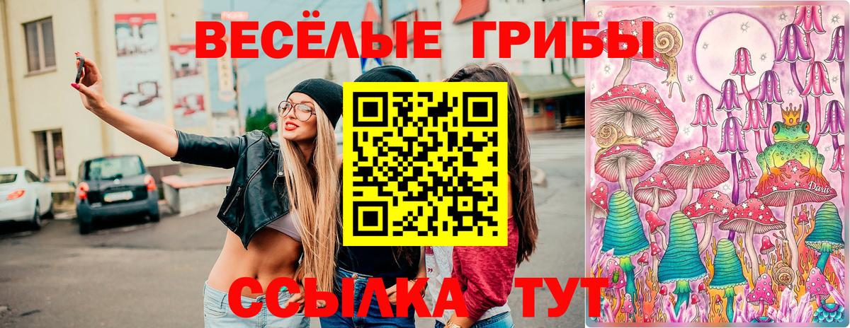 Псилоцибиновые грибы Psilocybine cubensis Старая Русса